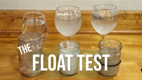 sourdough starter drop test|sourdough starter does not float.